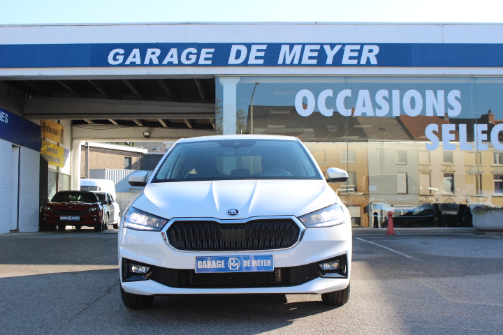 SKODA-FABIA-1.0 TSI SELECTION